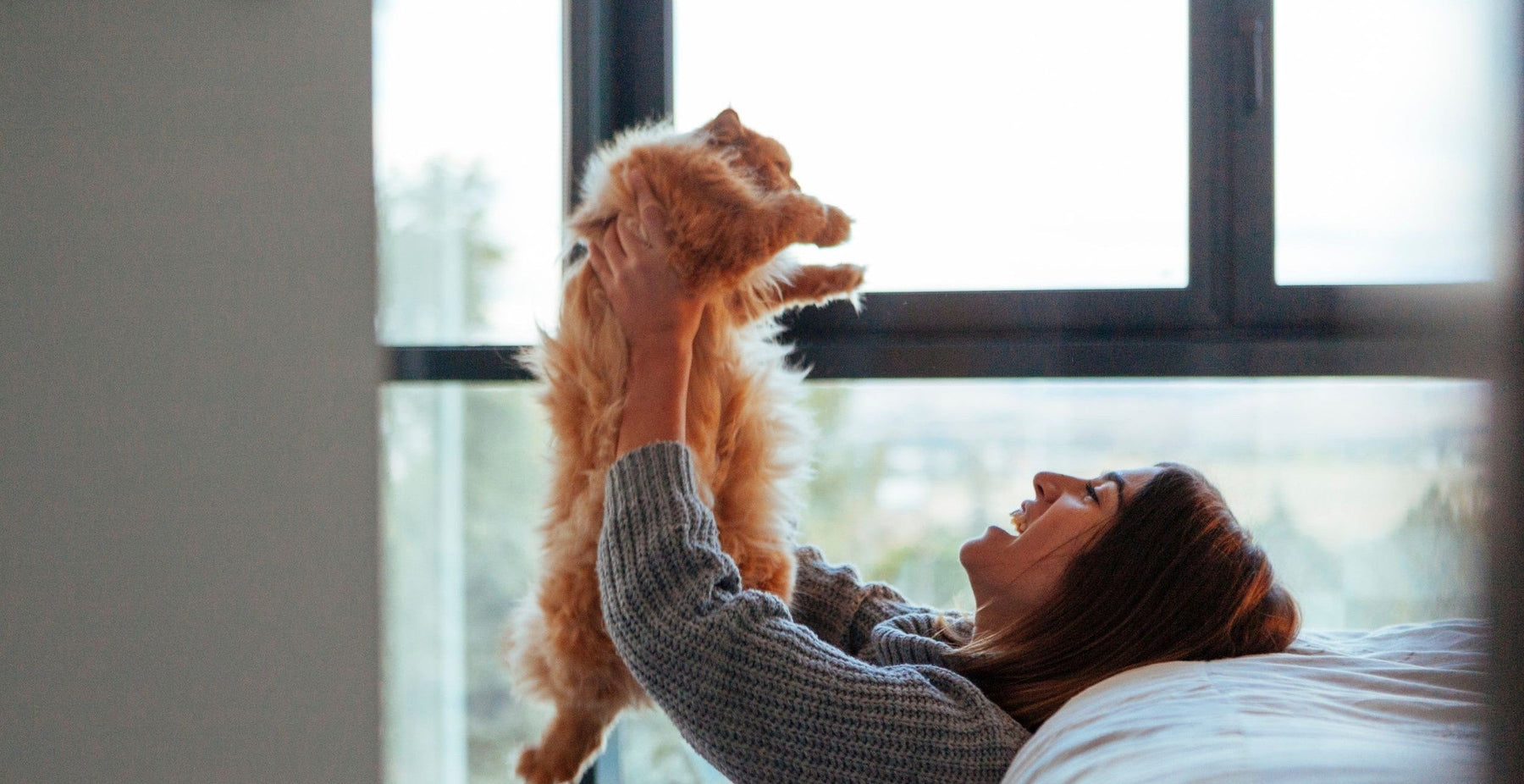 Healthy cat eating taurine-rich complete cat food