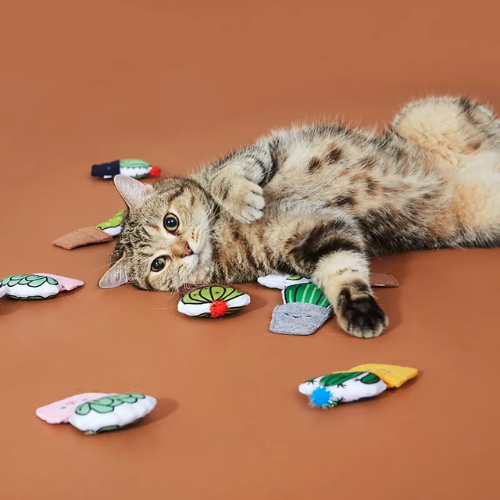 (Selection) Funtails Fresh Cactus Catnip