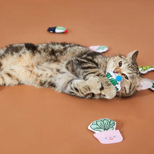 (Selection) Funtails Fresh Cactus Catnip