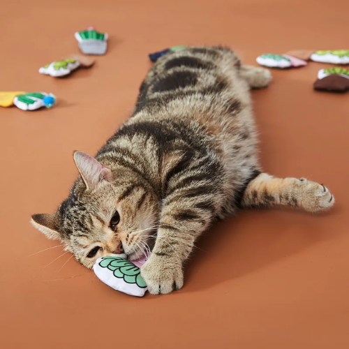 (Selection) Funtails Fresh Cactus Catnip