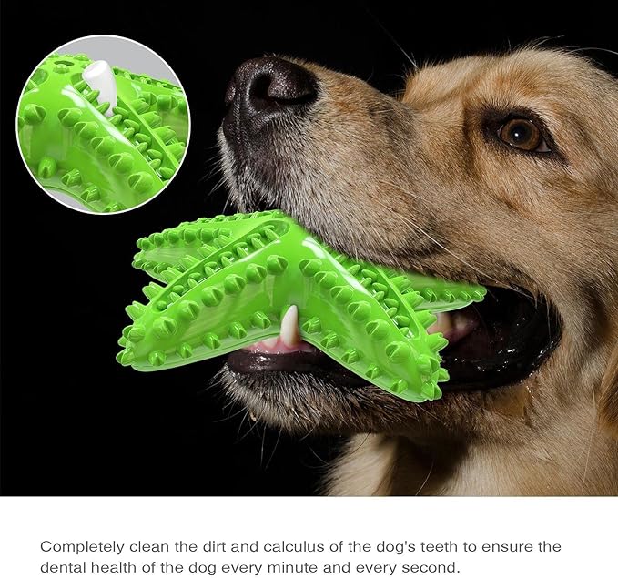 (Selection) Funtails Toy Feeder