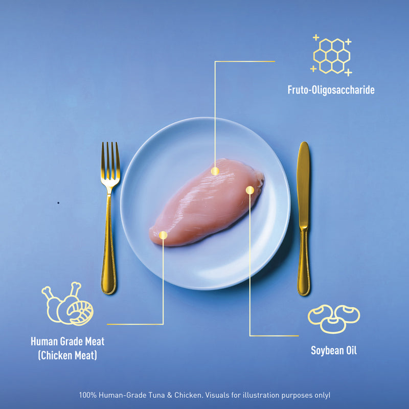 Delizios Filetto 22g Cat Treats (Tuna Whole Loin / Chicken)