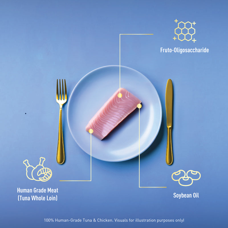 Delizios Filetto 22g Cat Treats (Tuna Whole Loin / Chicken)