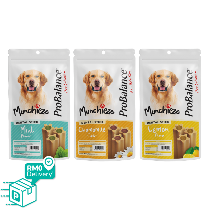 ProBalance Munchiezz Dental Stick 100g (Mint / Chamomile / Lemon) Dog Treats Dental Health Support