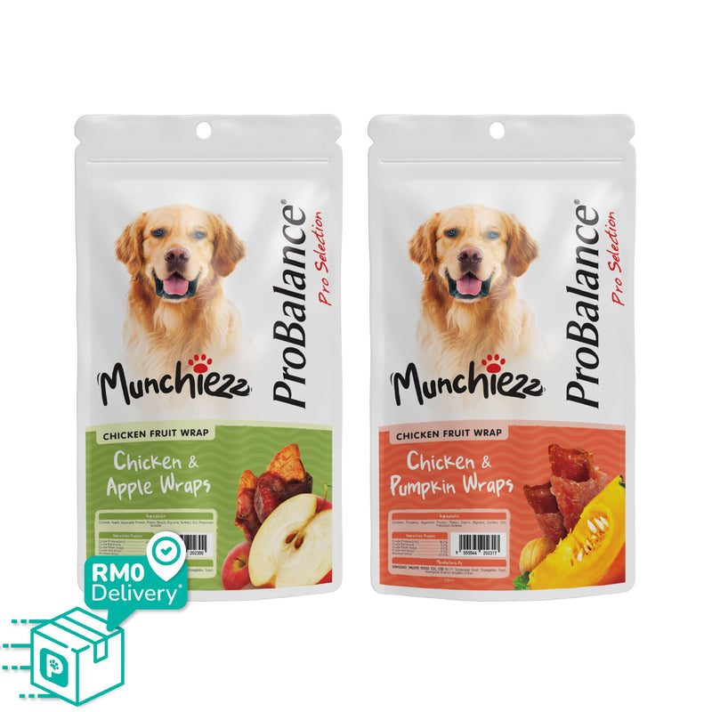 ProBalance Munchiezz Fruit Wraps 100g (Apple / Pumpkin) Dog Treats Dental Health Support