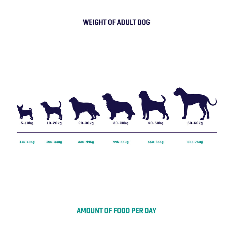 SIMPLE 3kg Allergy-Free Grain-Free Premium Dog Dry Food (Salmon / Chicken / Lamb)
