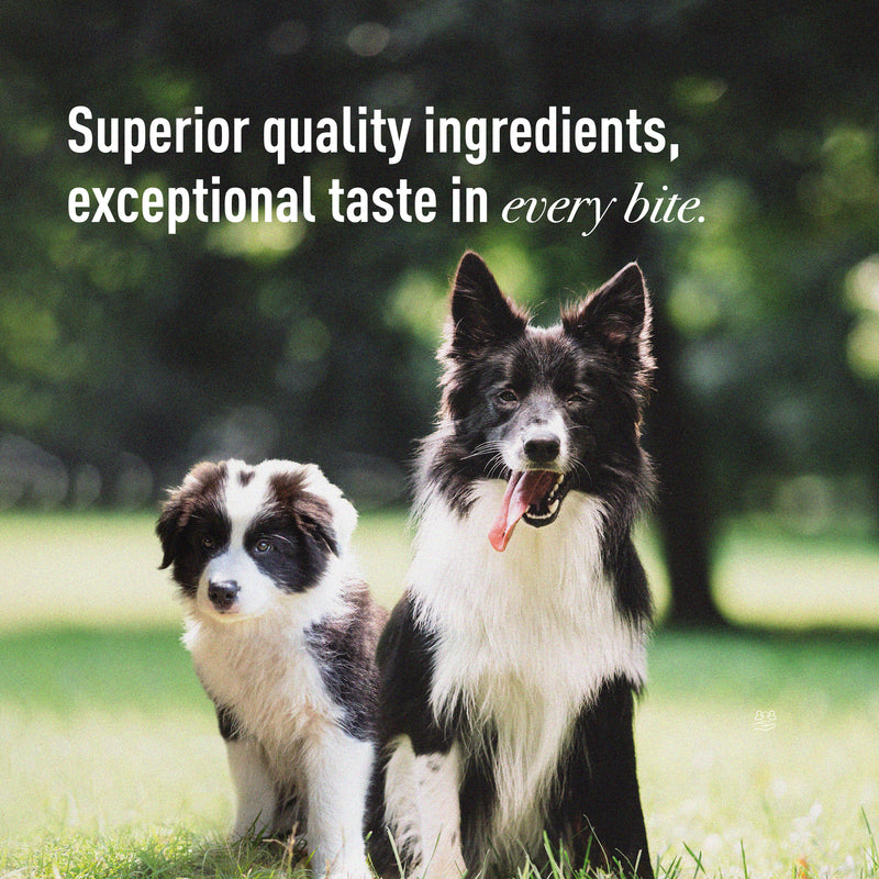 Le Gourmet Mother & Baby Dry Kibble 1.5kg (Chicken Hydrolysate)