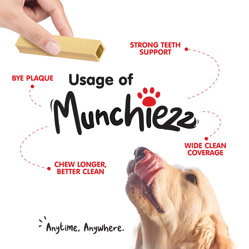 ProBalance Munchiezz Dental Bar 100g (Lamb / Turkey / Deer) Size S & M Dog Treats Dental Health Support