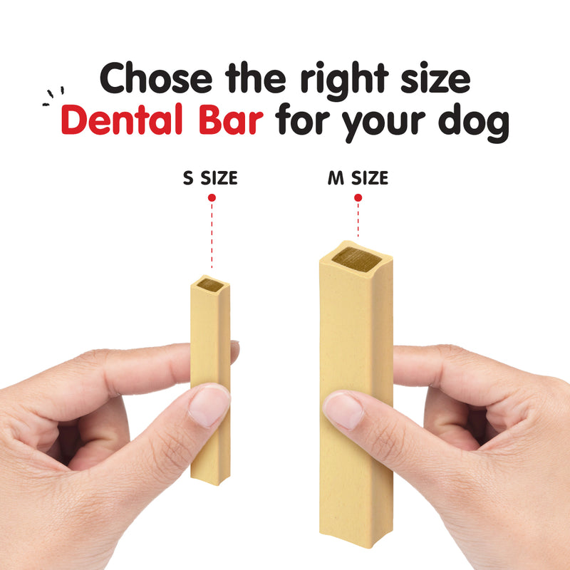 ProBalance Munchiezz Dental Bar 100g (Lamb / Turkey / Deer) Size S & M Dog Treats Dental Health Support