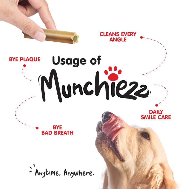 ProBalance Munchiezz Dental Stick 100g (Mint / Chamomile / Lemon) Dog Treats Dental Health Support