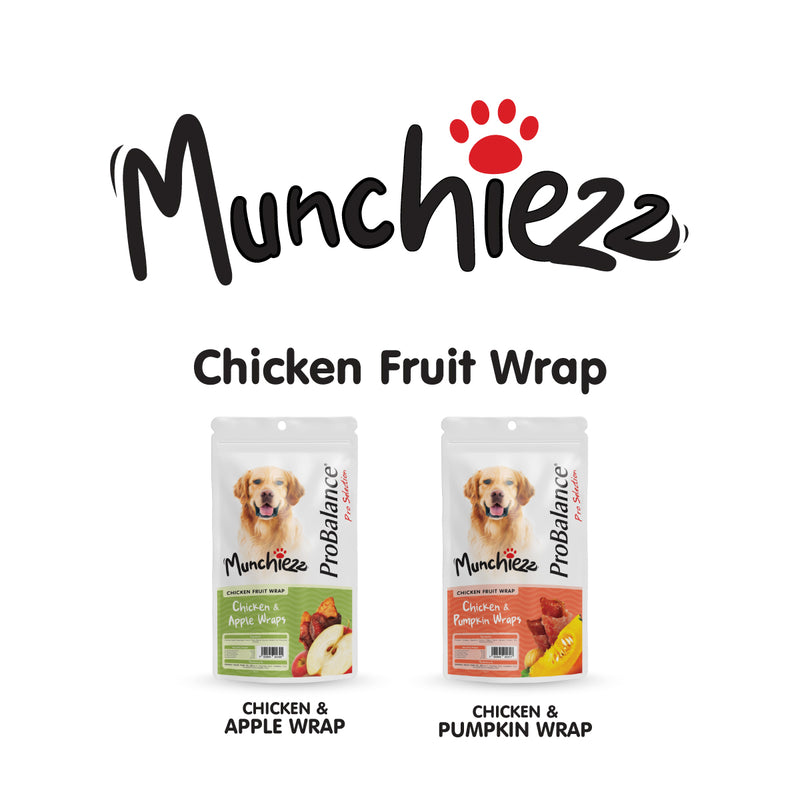 ProBalance Munchiezz Fruit Wraps 100g (Apple / Pumpkin) Dog Treats Dental Health Support