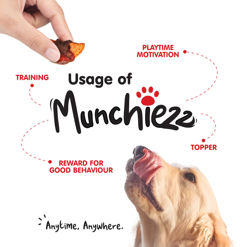 ProBalance Munchiezz Fruit Wraps 100g (Apple / Pumpkin) Dog Treats Dental Health Support