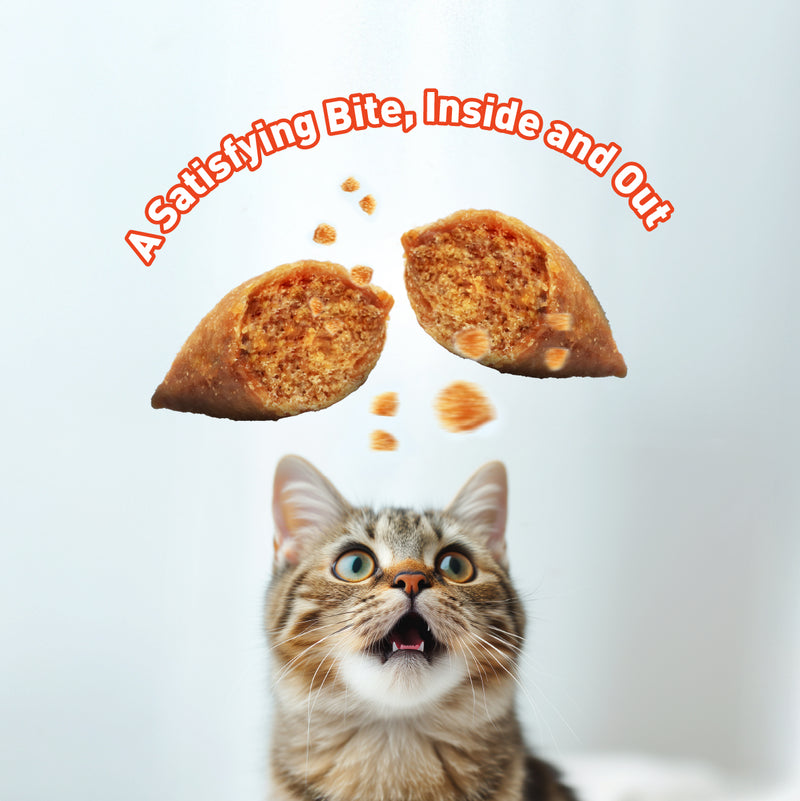 ProDiet Treatzz Centre-Filled Biscuit Cat Treats (Chicken / Salmon / Beef / Turkey) 80g x 12 packs