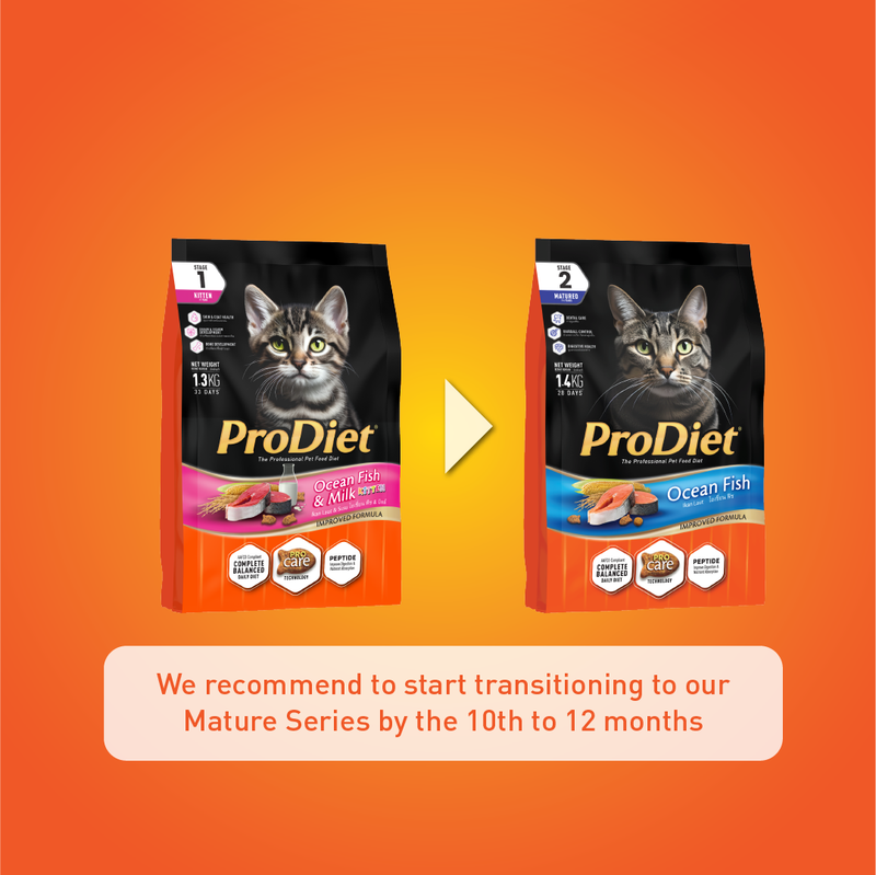 Prodiet 1.3kg Kitten Dry Cat Food - Milky Ocean Fish