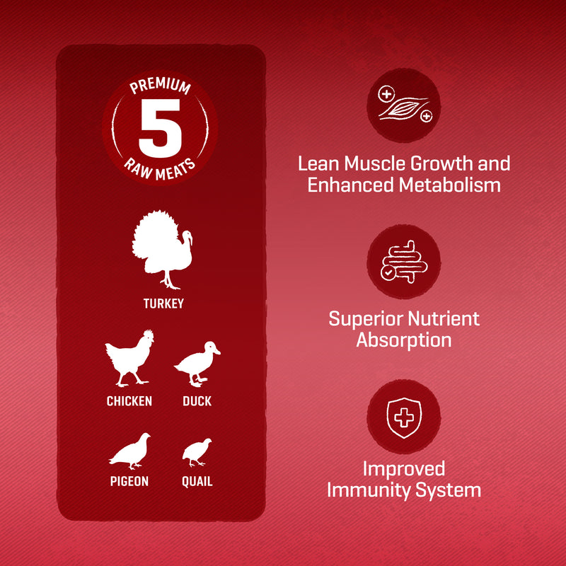 SIMPLE 3kg High Protein Raw 5 Premium Dog Dry Food with 5 Type Meat [Added Prebiotics] 3 Flavours