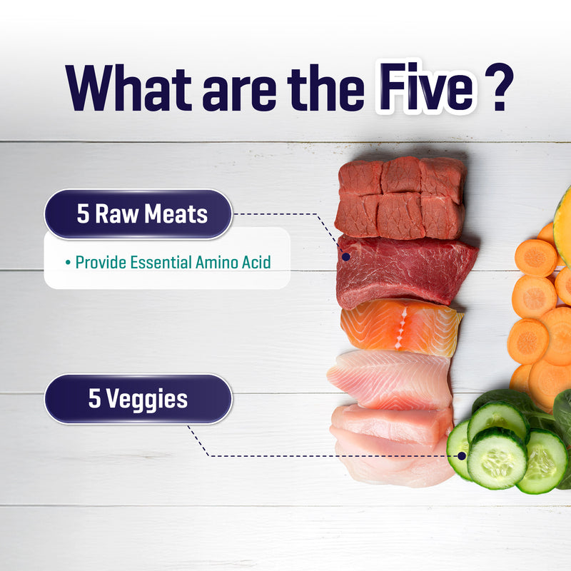 SIMPLE 3kg High Protein Raw 5 Premium Dog Dry Food with 5 Type Meat [Added Prebiotics] 3 Flavours