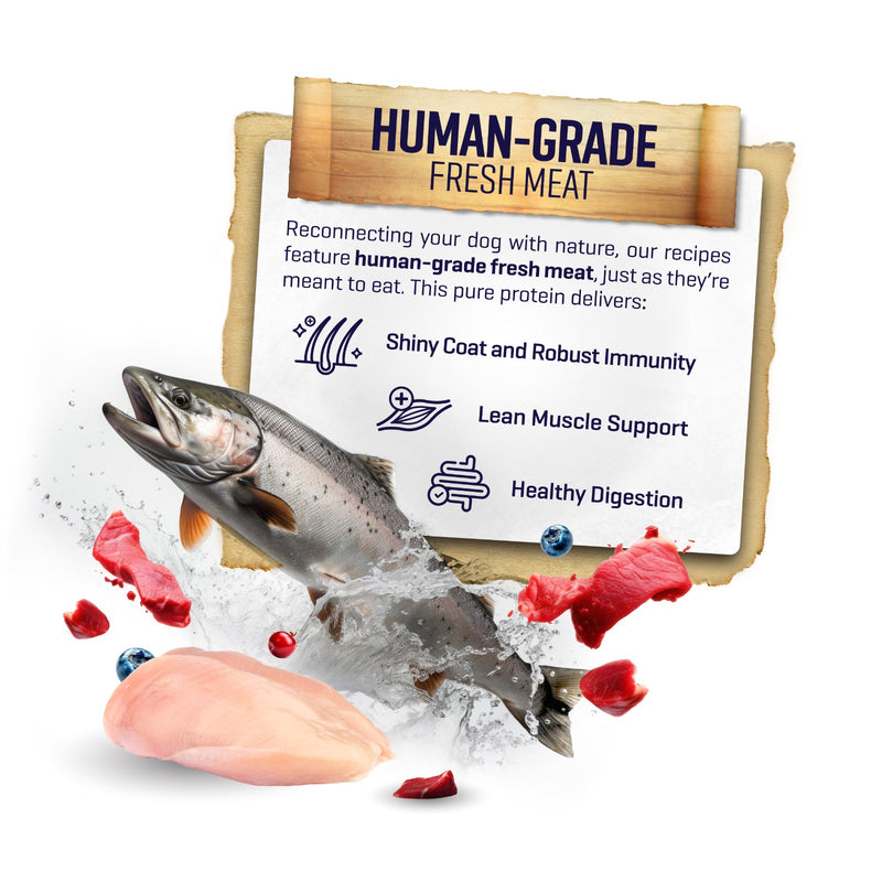 SIMPLE 3kg Monoprotein Nutrient-Rich Added Salmon Oil Fresh Human-Grade Premium Dog Dry Food (Fish/Lamb/Chicken)