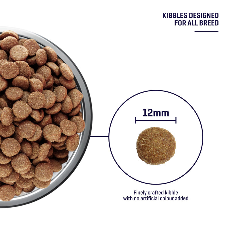 SIMPLE 3kg Monoprotein Nutrient-Rich Added Salmon Oil Fresh Human-Grade Premium Dog Dry Food (Fish/Lamb/Chicken)
