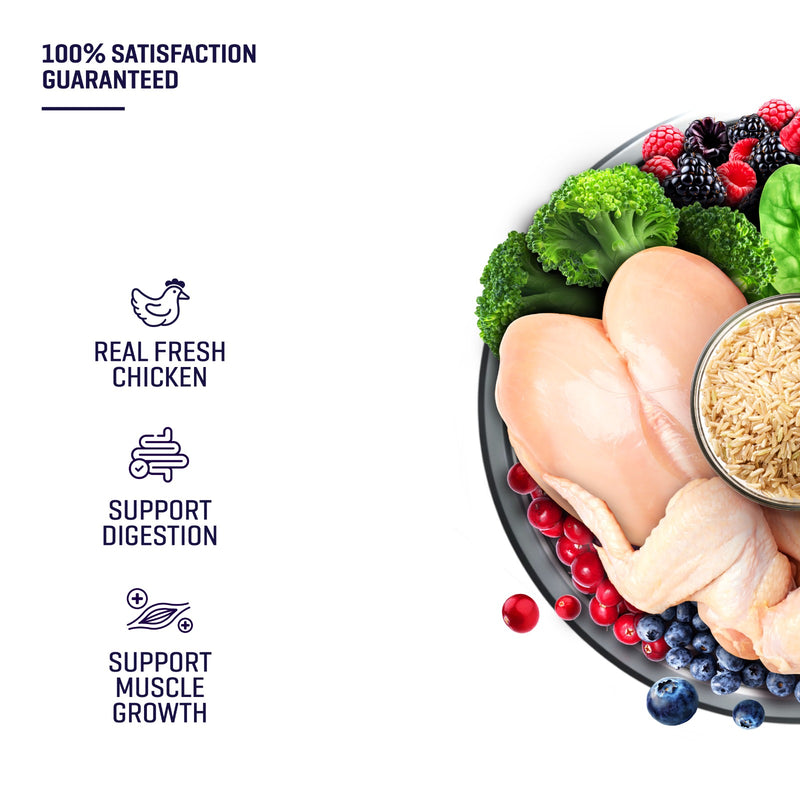 SIMPLE 3kg Monoprotein Nutrient-Rich Added Salmon Oil Fresh Human-Grade Premium Dog Dry Food (Fish/Lamb/Chicken)