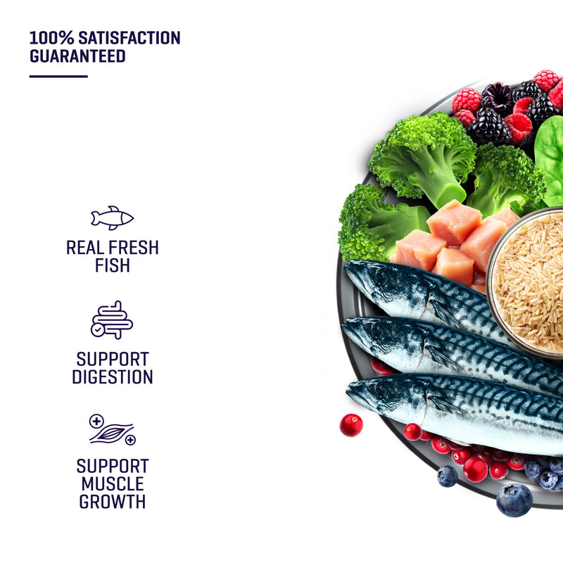 SIMPLE 3kg Monoprotein Nutrient-Rich Added Salmon Oil Fresh Human-Grade Premium Dog Dry Food (Fish/Lamb/Chicken)