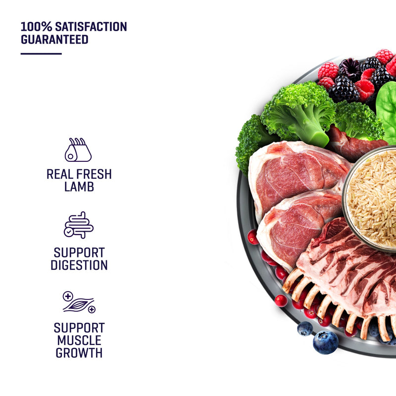 SIMPLE 3kg Monoprotein Nutrient-Rich Added Salmon Oil Fresh Human-Grade Premium Dog Dry Food (Fish/Lamb/Chicken)