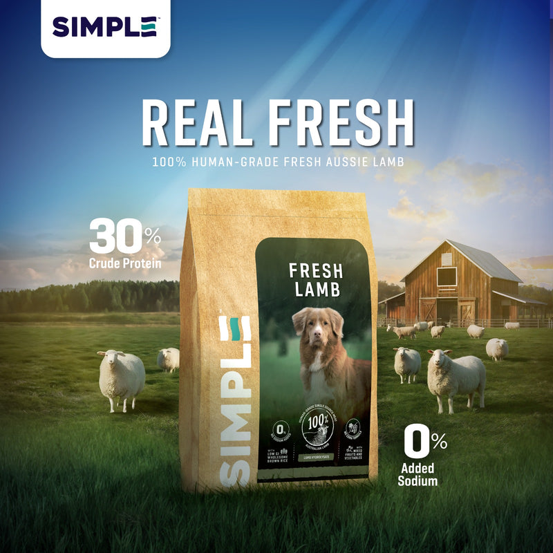 SIMPLE 3kg Monoprotein Nutrient-Rich Added Salmon Oil Fresh Human-Grade Premium Dog Dry Food (Fish/Lamb/Chicken)