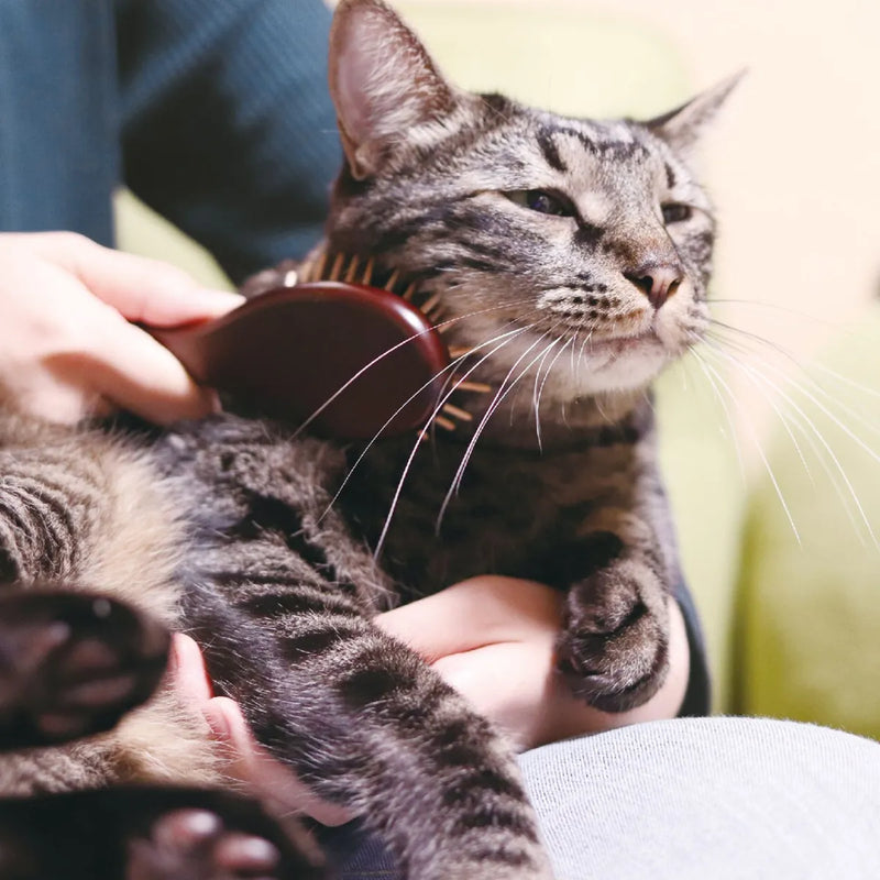Doggyman NSC Wooden Pin Brush for Cat