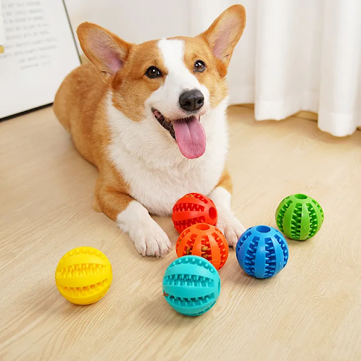 (Selection) Funtails Toy Feeder