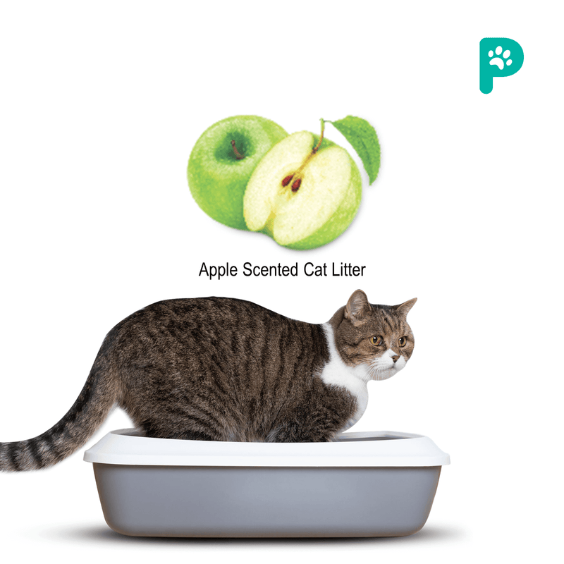 ProDiet Cat Litter Ball 5L Apple