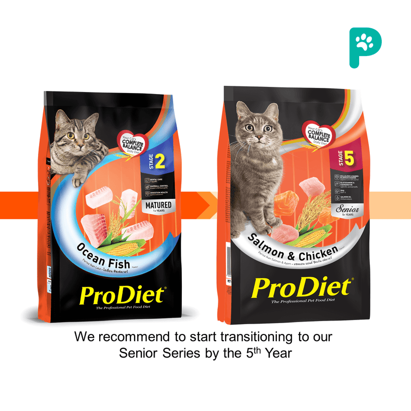 ProDiet 500G Dry Cat Food (Ocean Fish)
