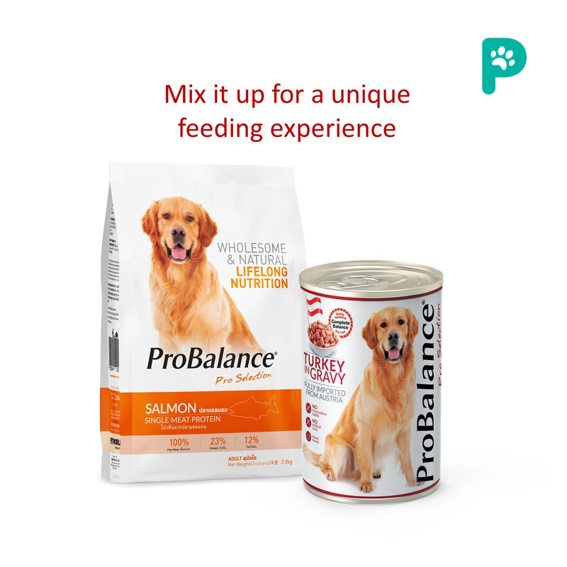 ProBalance Salmon 7KG Single Source Adult Dry Dog Food