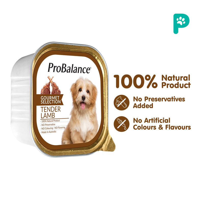 Probalance 100g Gourmet Selection Wet Dog Food (Tender Lamb & Vege)