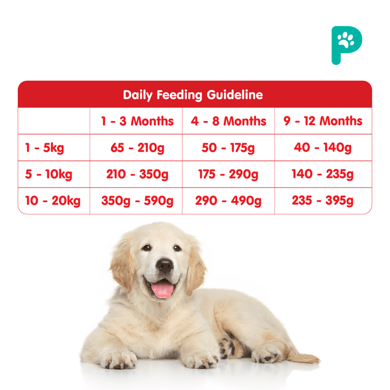 Probalance 1.5kg Single Source Puppy Dry Food