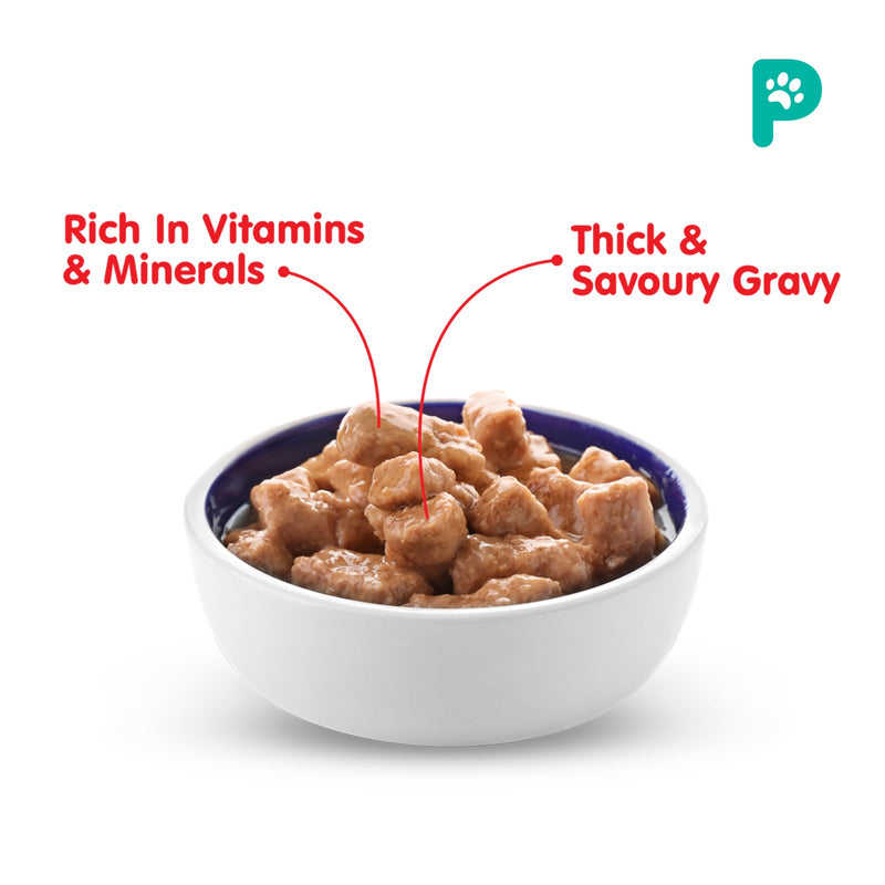 Probalance 400g Turkey Gravy Wet Dog Food