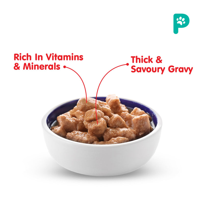 Probalance 400g Chicken Gravy Wet Dog Food